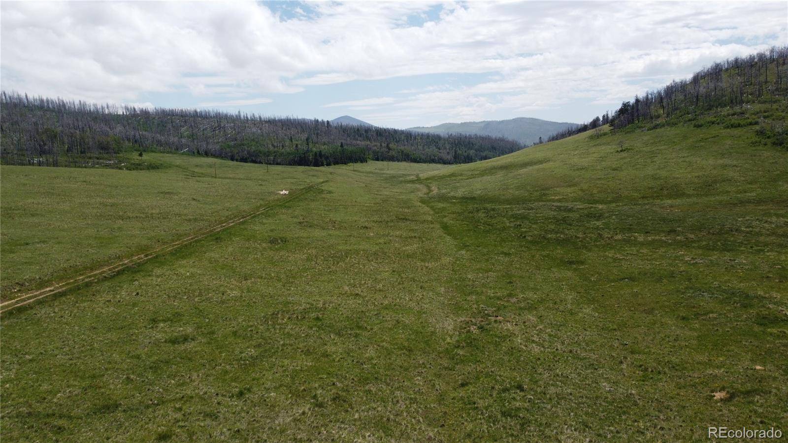 Fort Garland, CO 81133,Lot 428 Powers RD