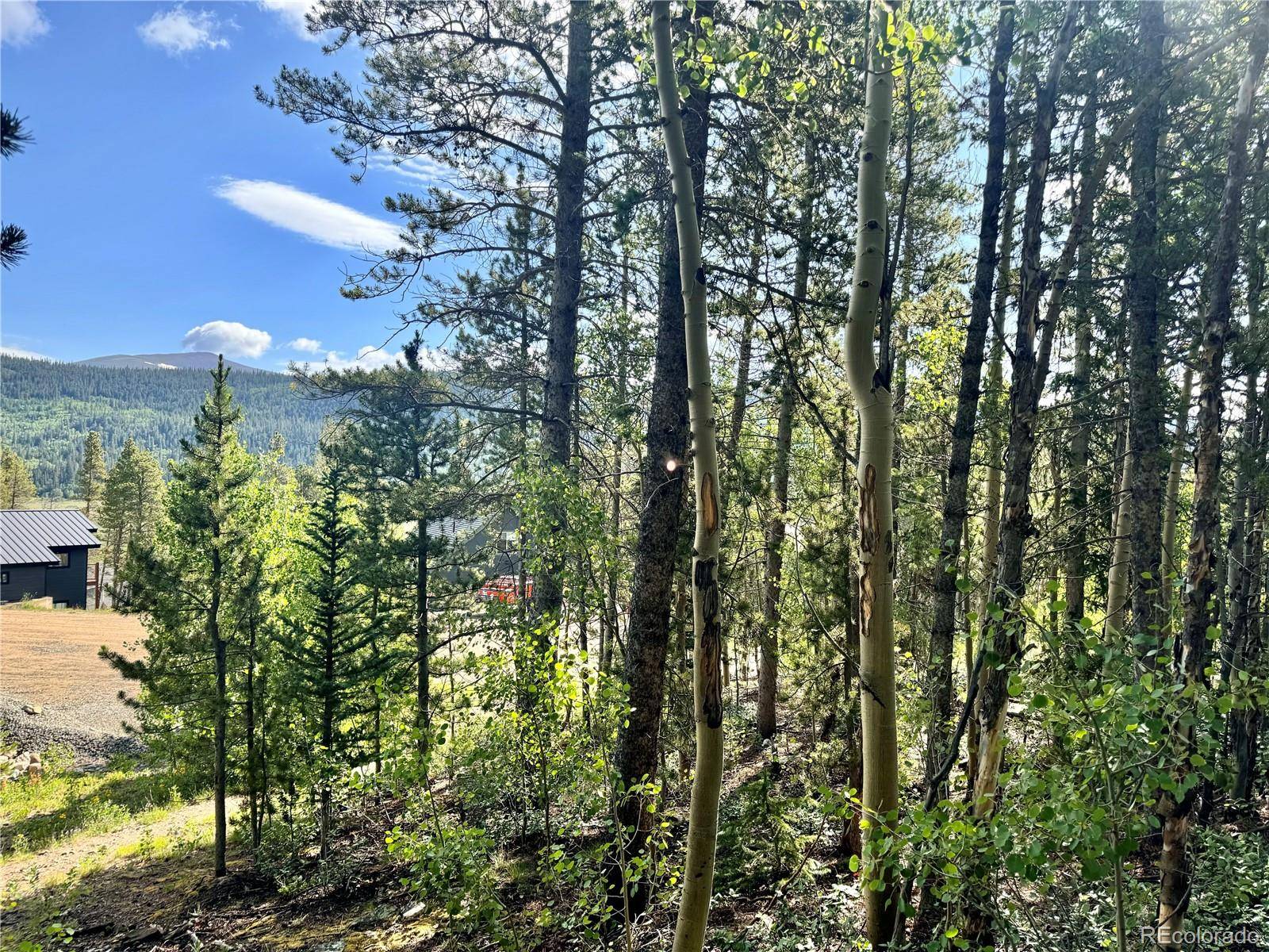 Alma, CO 80420,121 N Aspen ST