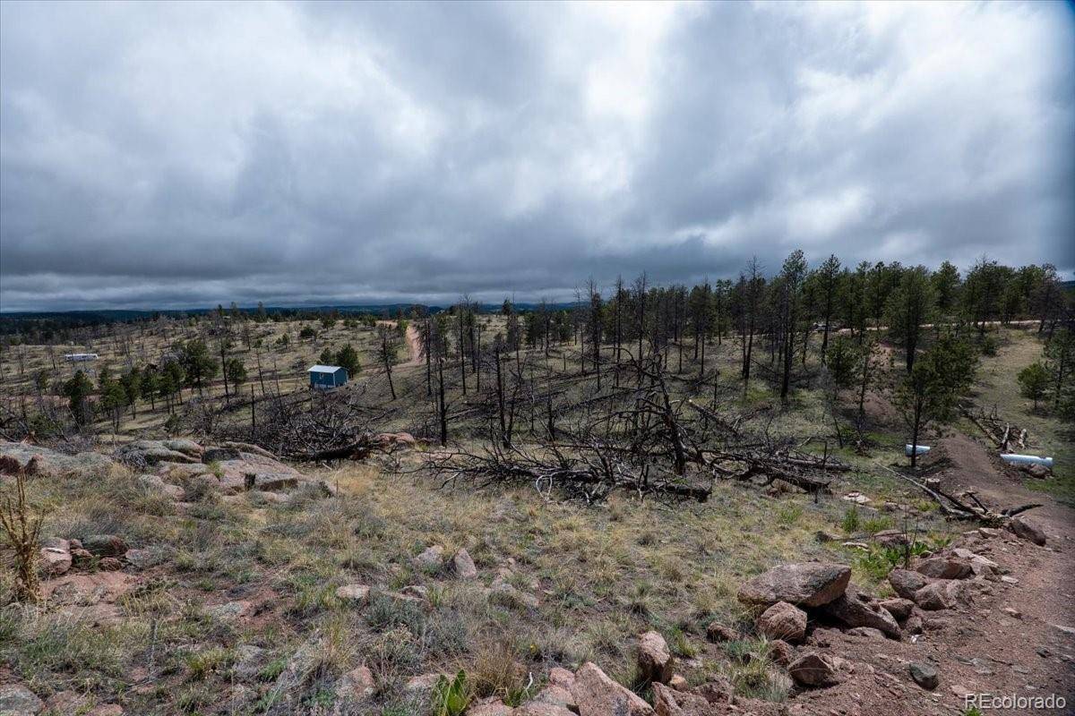 Florissant, CO 80816,144 Chapparal TRL