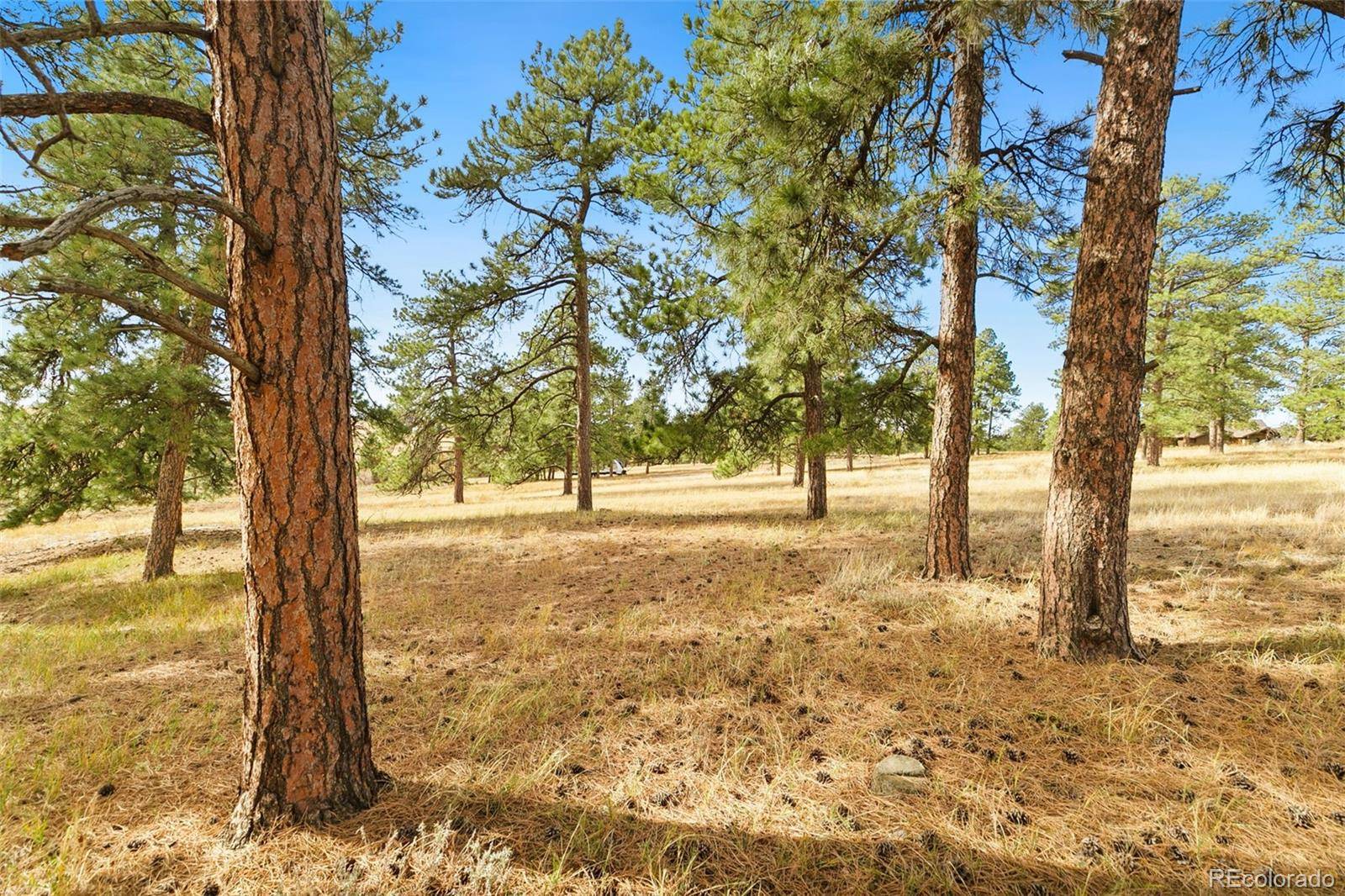 Parker, CO 80138,10562 Shadow Pines RD