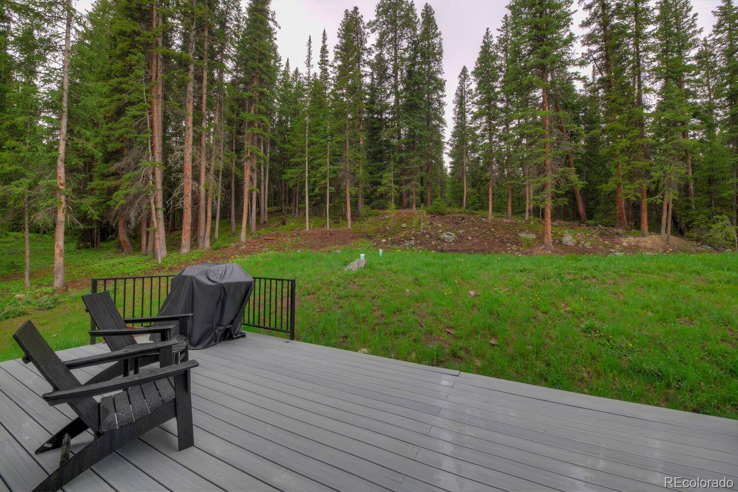 Breckenridge, CO 80424,563 CR 672