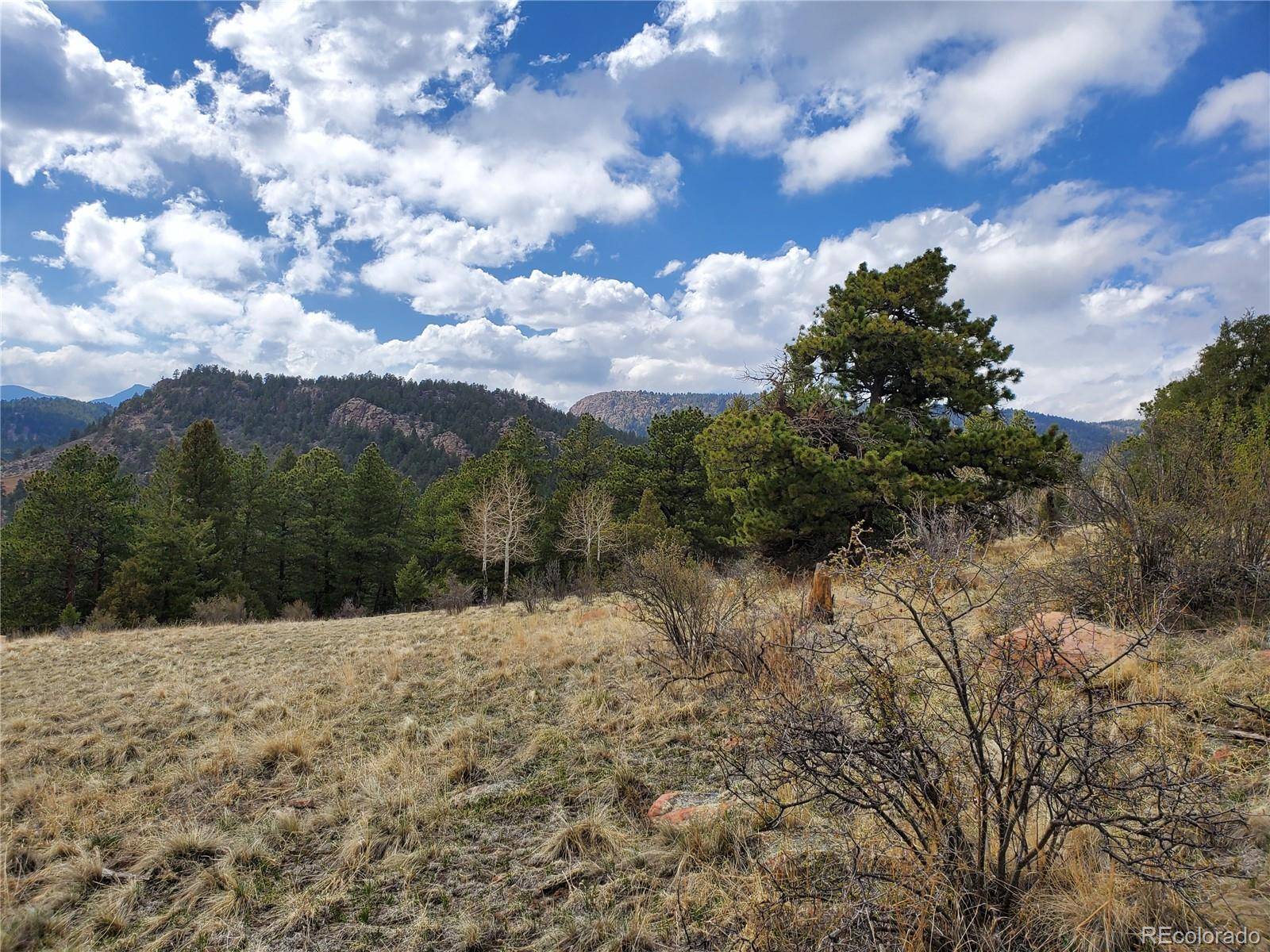 Bailey, CO 80421,663 Brookside DR