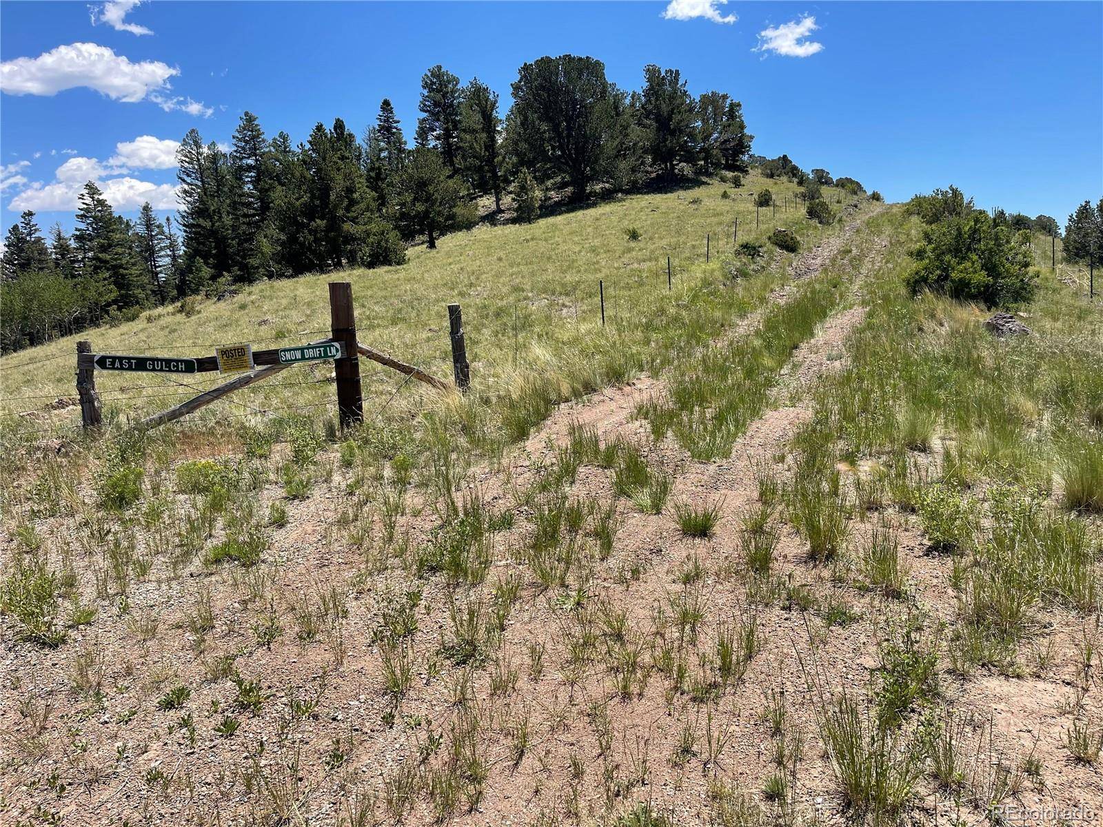 Cotopaxi, CO 81223,00 Snowdrift LN