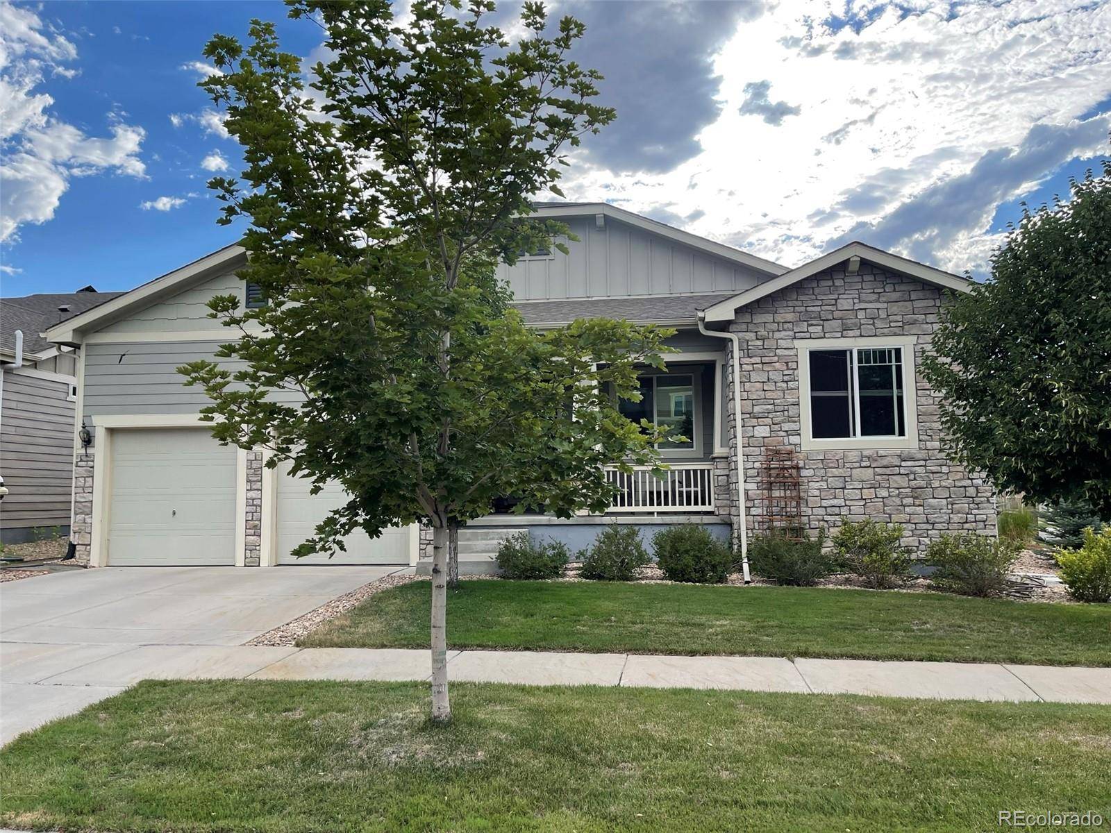 Arvada, CO 80005,9179 Flora ST