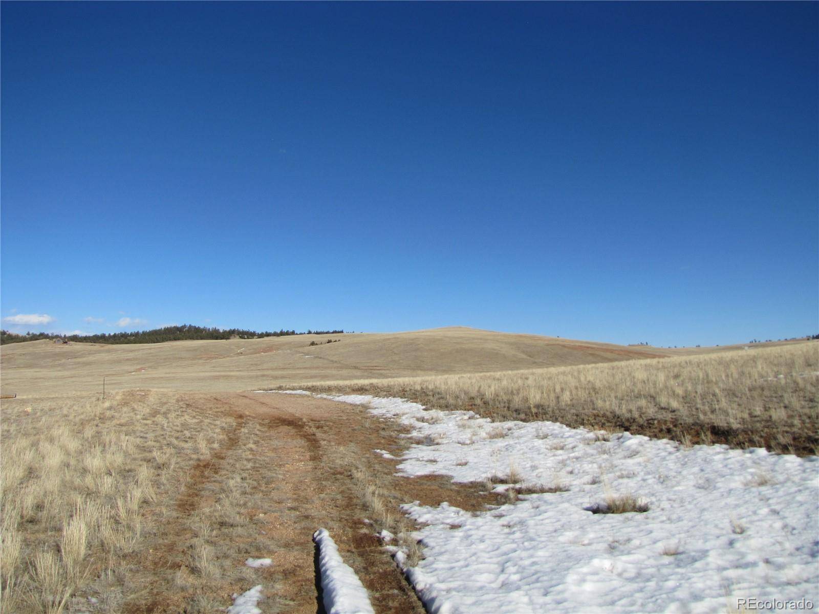 Hartsel, CO 80449,0 Kiowa RD