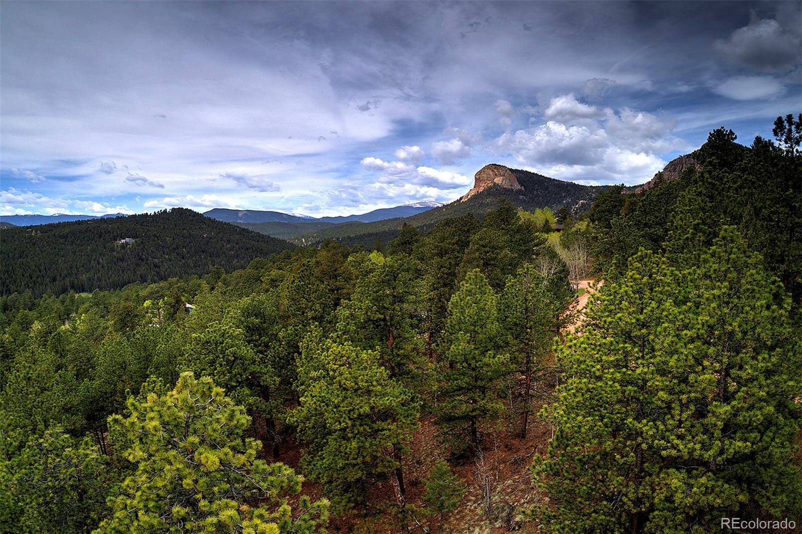 Pine, CO 80470,11669 S Upper Ranch DR