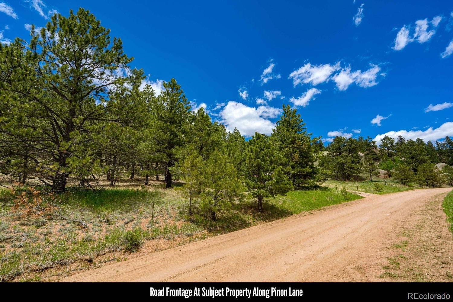 Florissant, CO 80816,648 Pinon LN