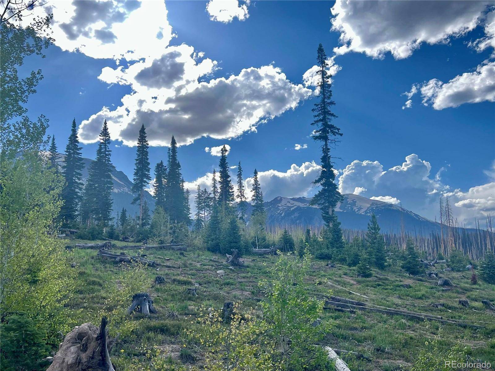 Silverthorne, CO 80498,89410 Ryan Gulch RD #104