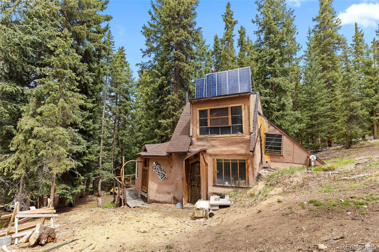 Leadville, CO 80461,6020 Woodland & Forrester