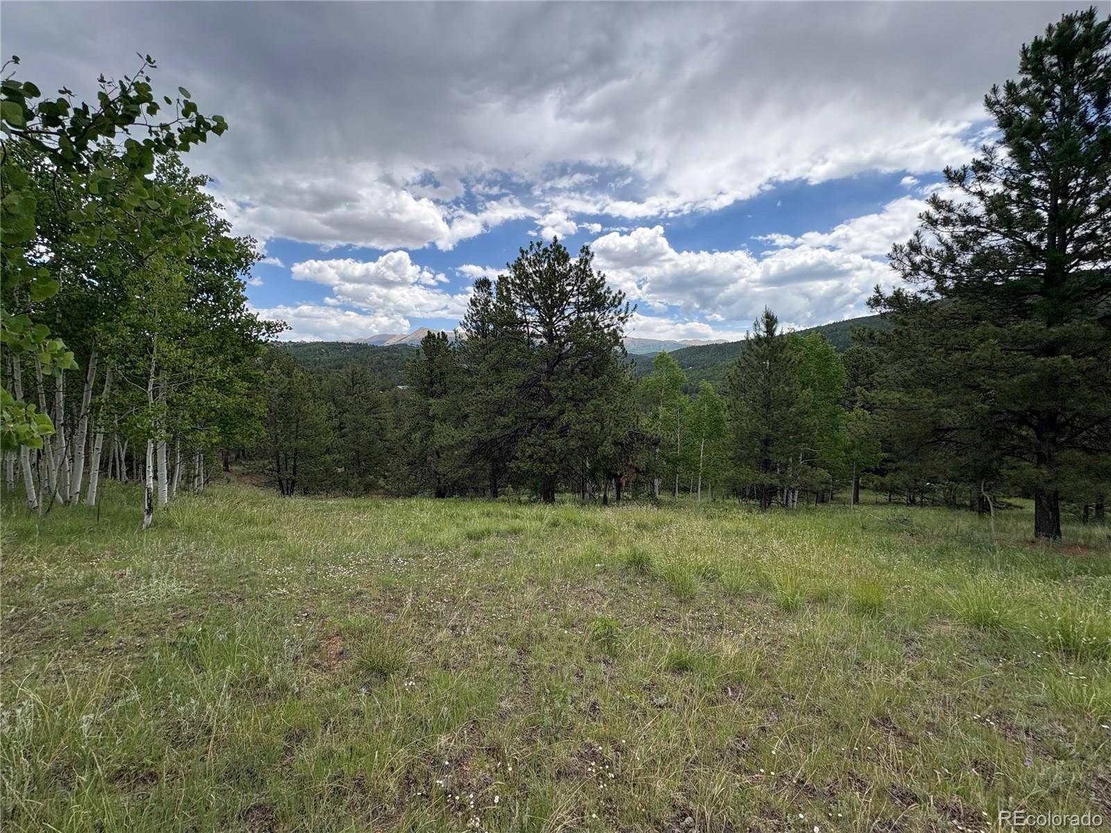 Cripple Creek, CO 80813,532 May Queen DR