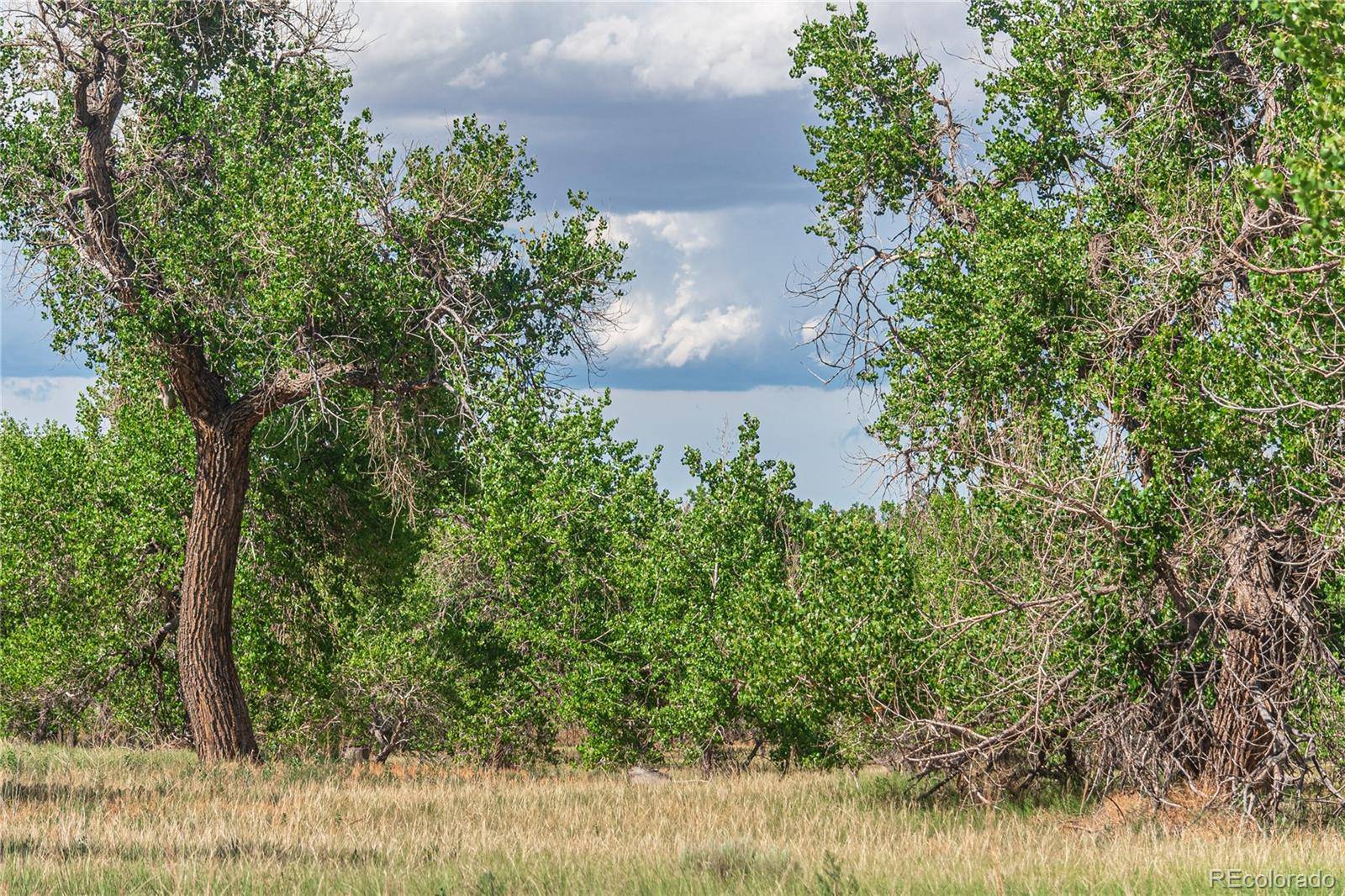 Byers, CO 80103,US 40