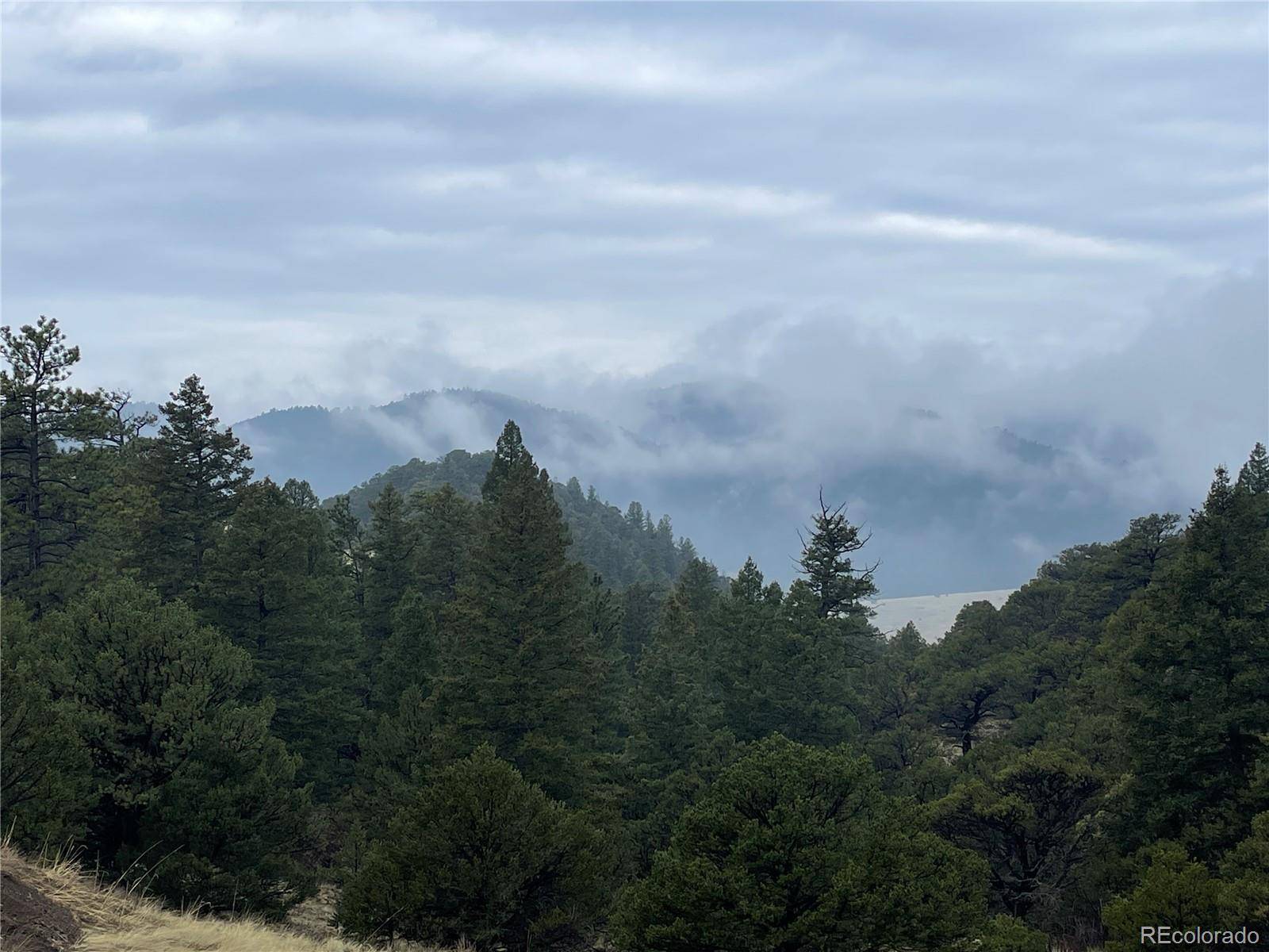 Cotopaxi, CO 81223,752 County Road 16