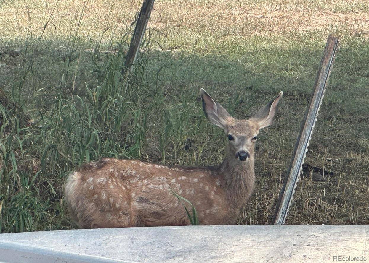 Loveland, CO 80537,4012 Lakefront DR