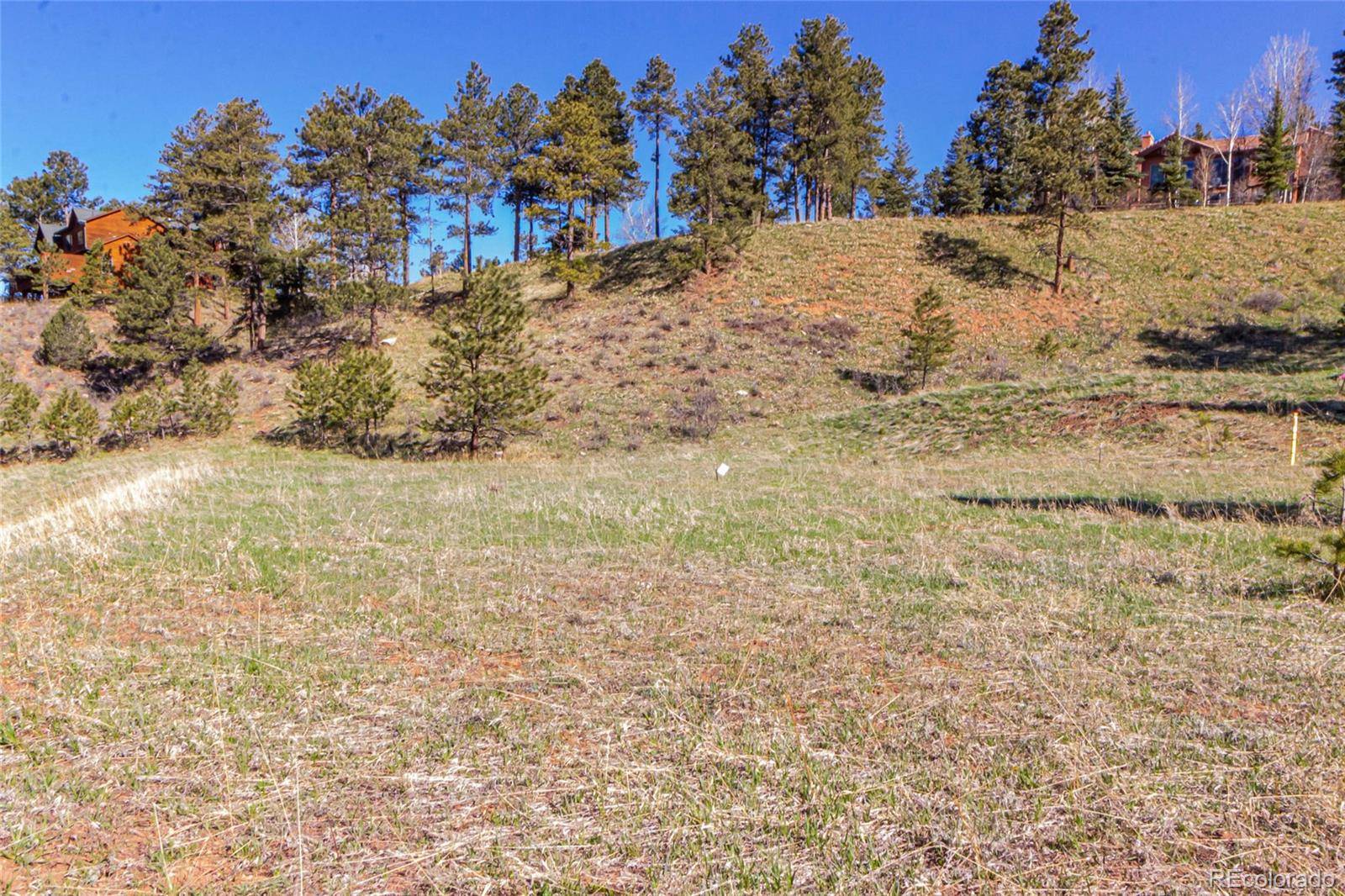 Woodland Park, CO 80863,2721 Mountain Glen CT