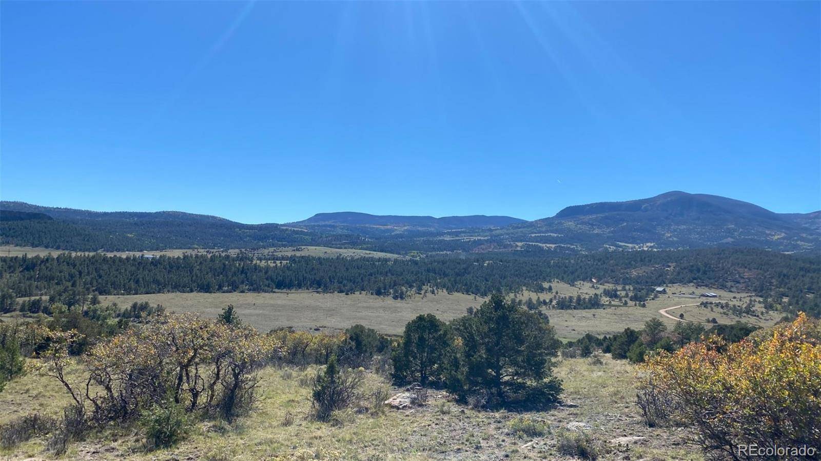 Canon City, CO 81212,000 Rosebush RD