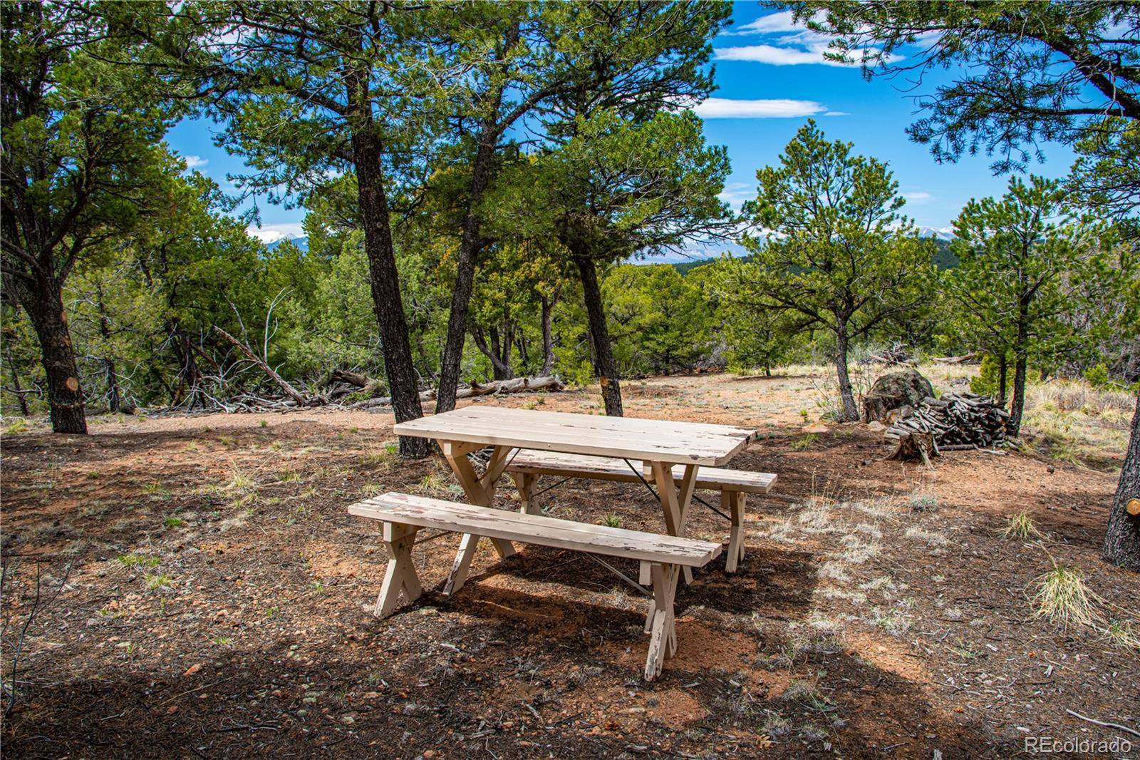 Cotopaxi, CO 81223,250 Cottonwood DR