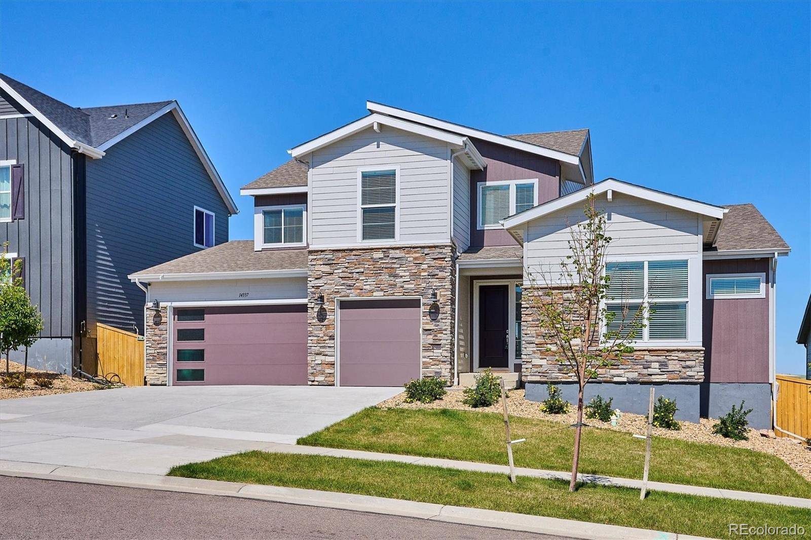 Parker, CO 80134,14337 Shasta Daisy PT