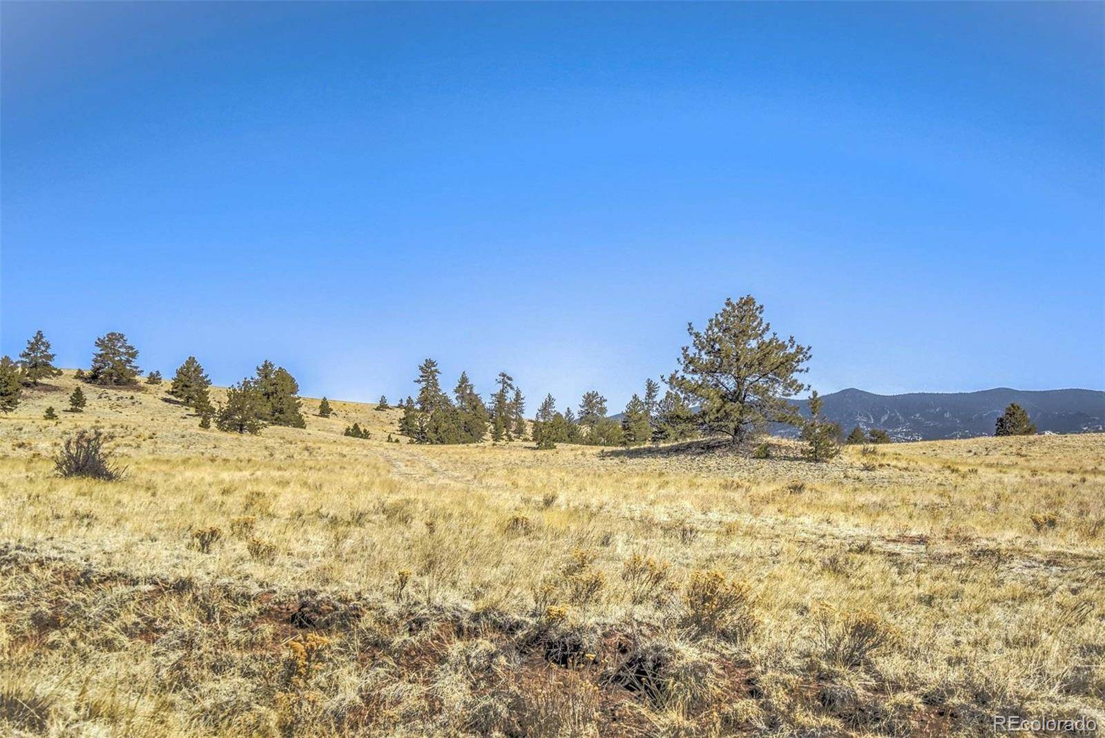 Guffey, CO 80820,Lot 2 Deer LN