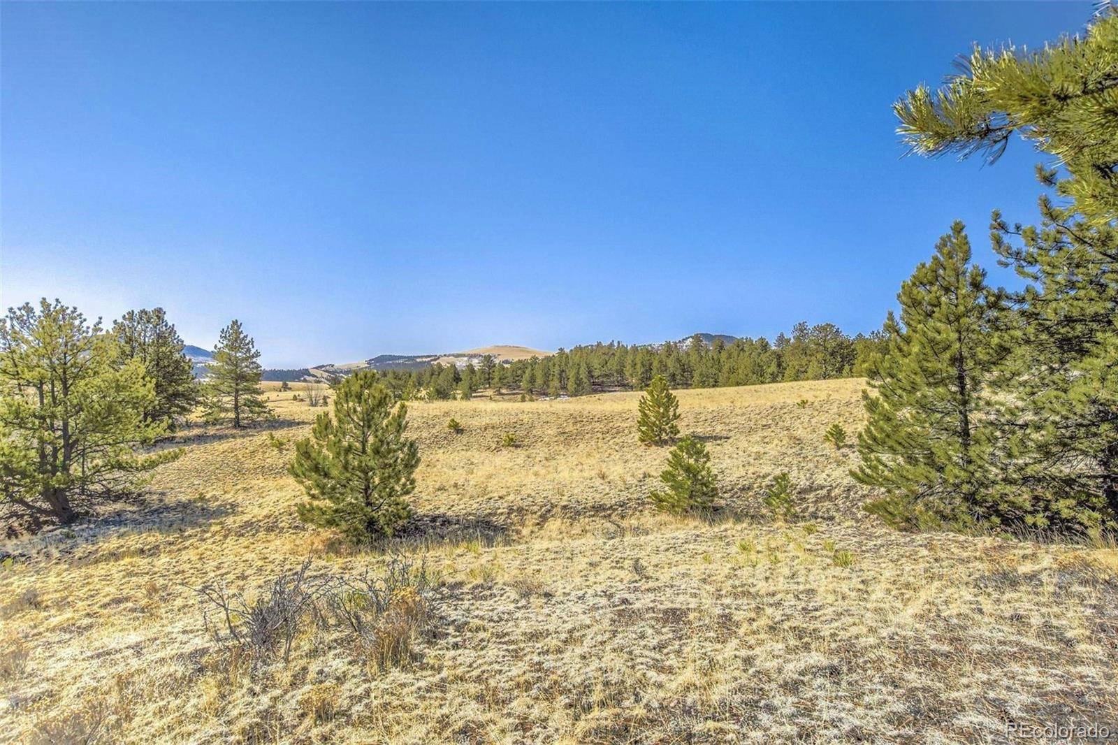 Guffey, CO 80820,Lot 2 Deer LN