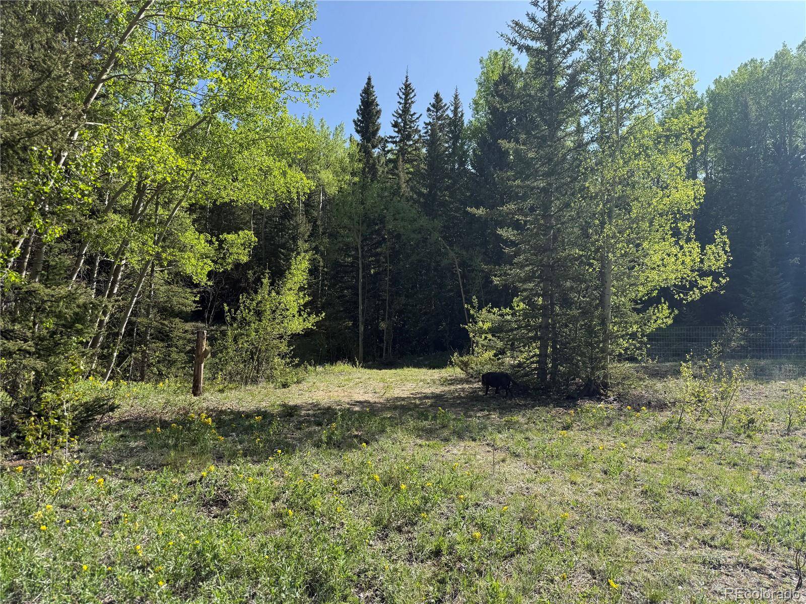 Fort Garland, CO 81133,Lot 6843 Ryland RD