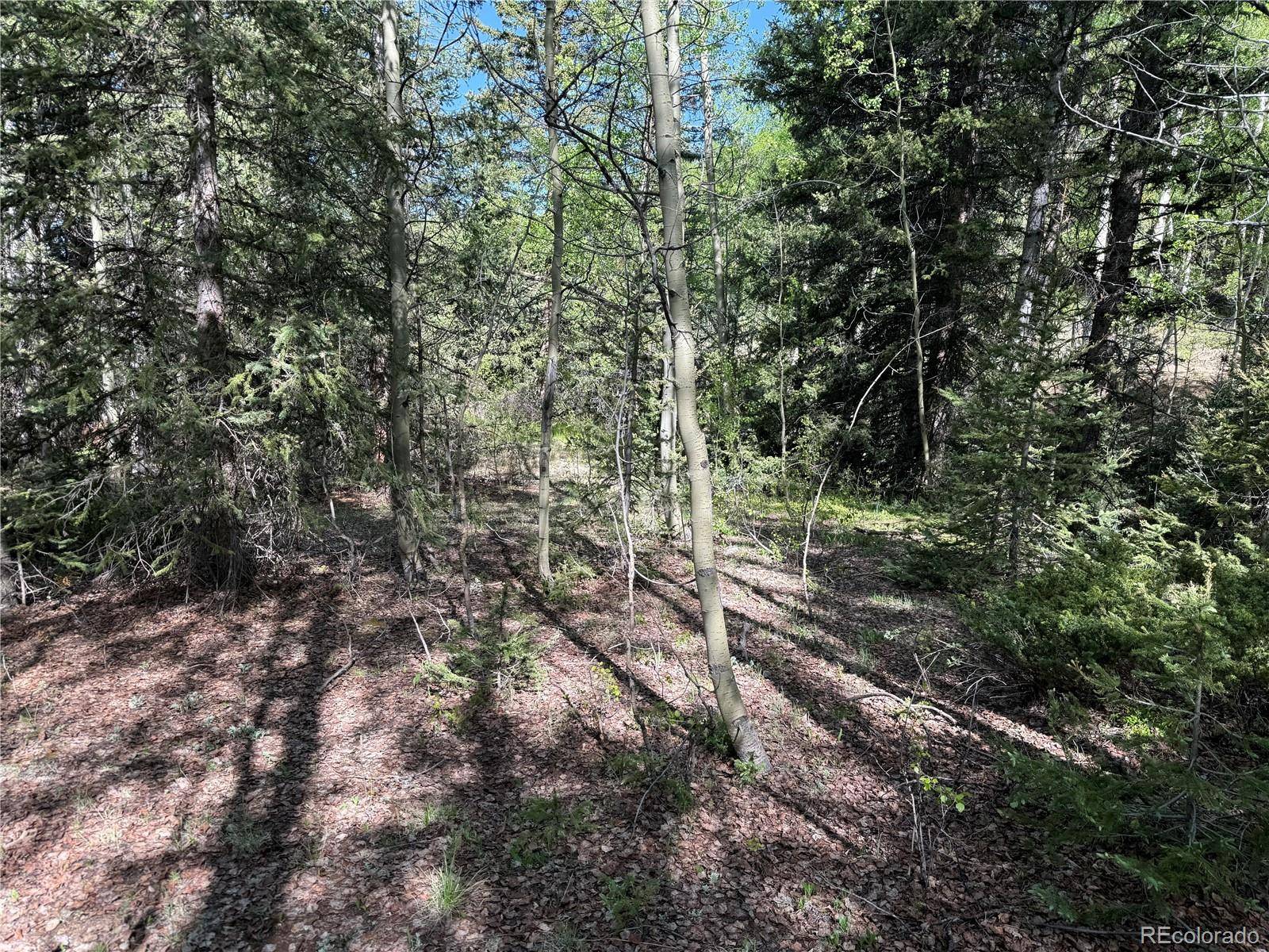 Fort Garland, CO 81133,Lot 6843 Ryland RD
