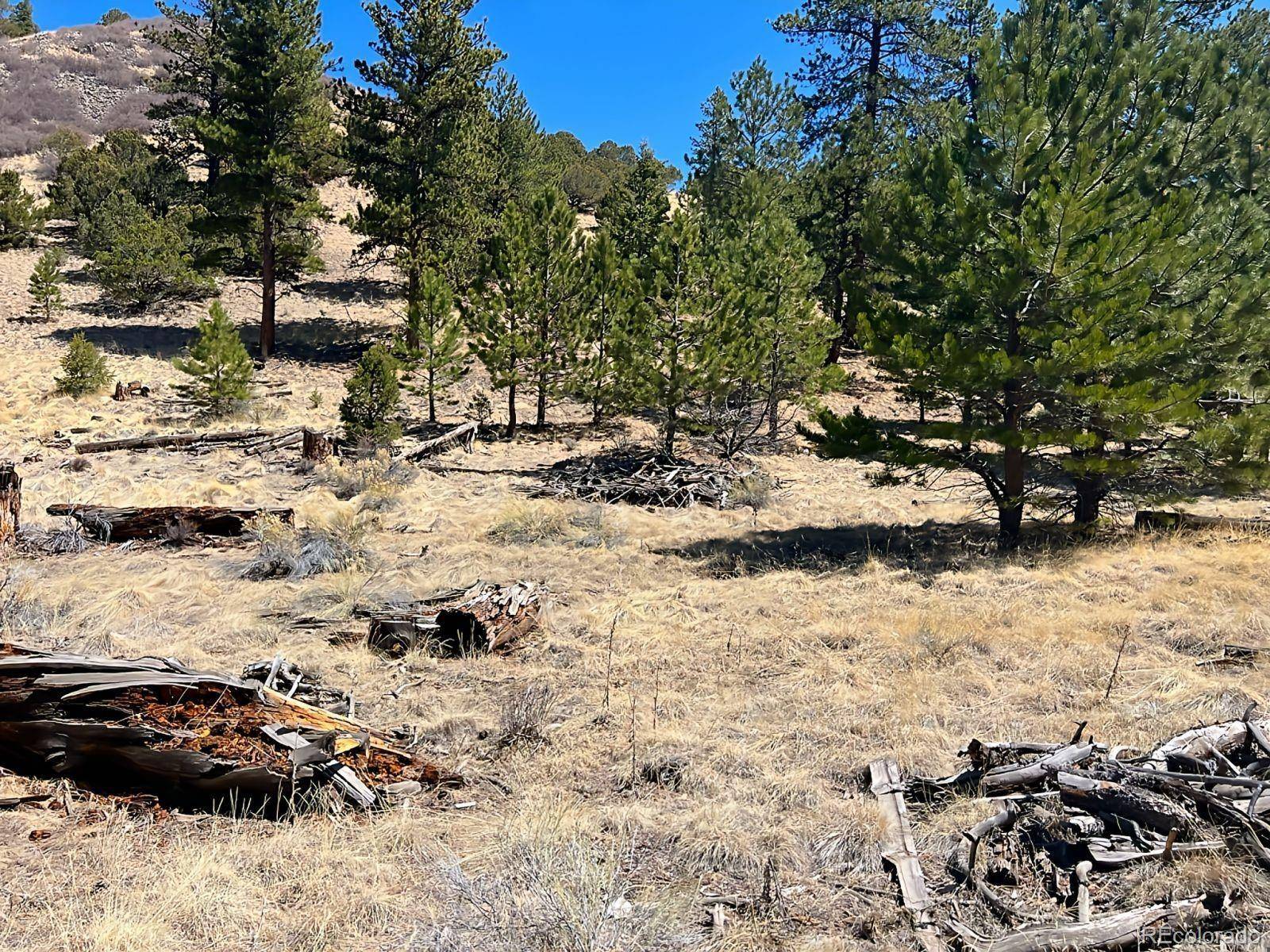 Westcliffe, CO 81252,1500 Bunker Hill RD