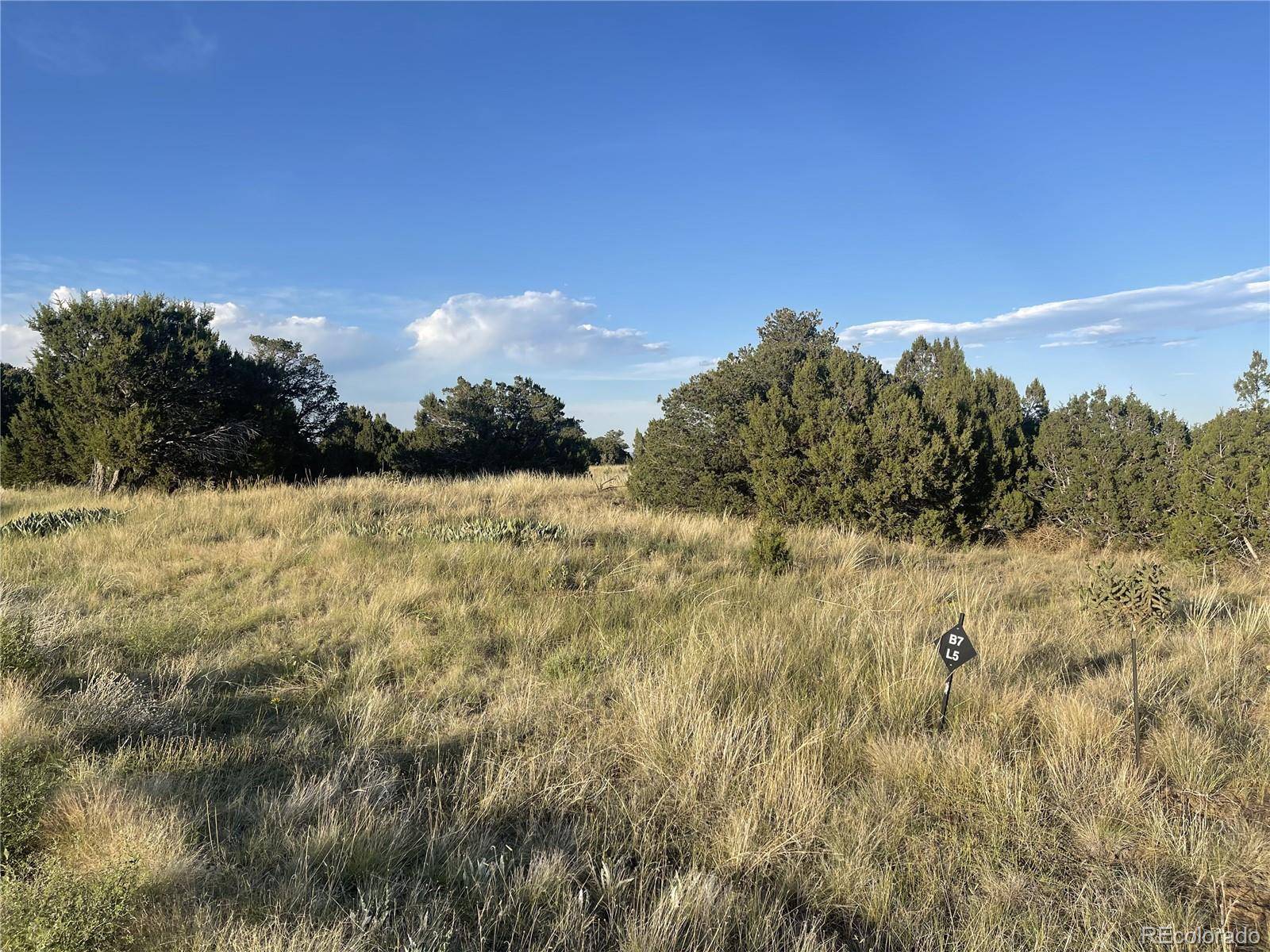 Walsenburg, CO 81089,Lot 10 Blk7 Orlando's WAY