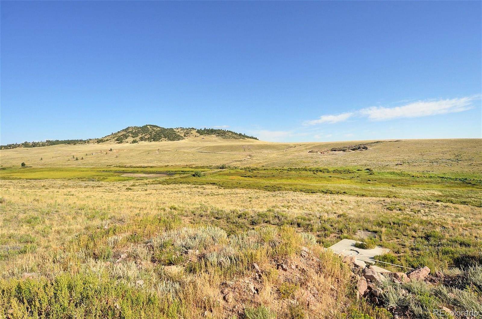 Hartsel, CO 80449,1245 Badger Creek RD
