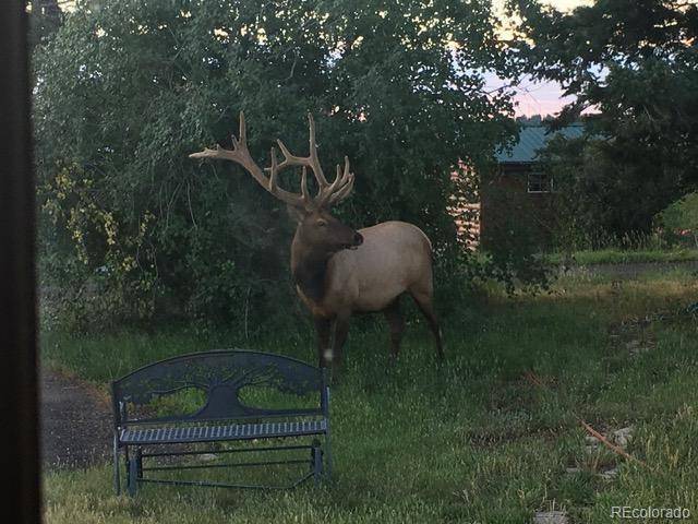 Littleton, CO 80127,13854 N Trail CIR