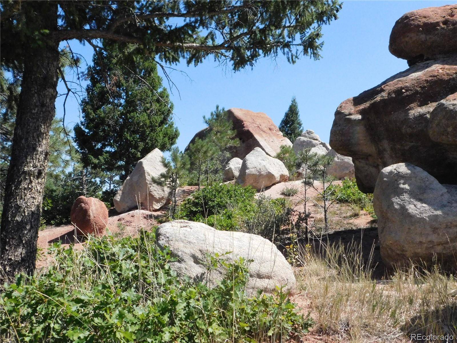 Larkspur, CO 80118,6370 Thunderbird RD