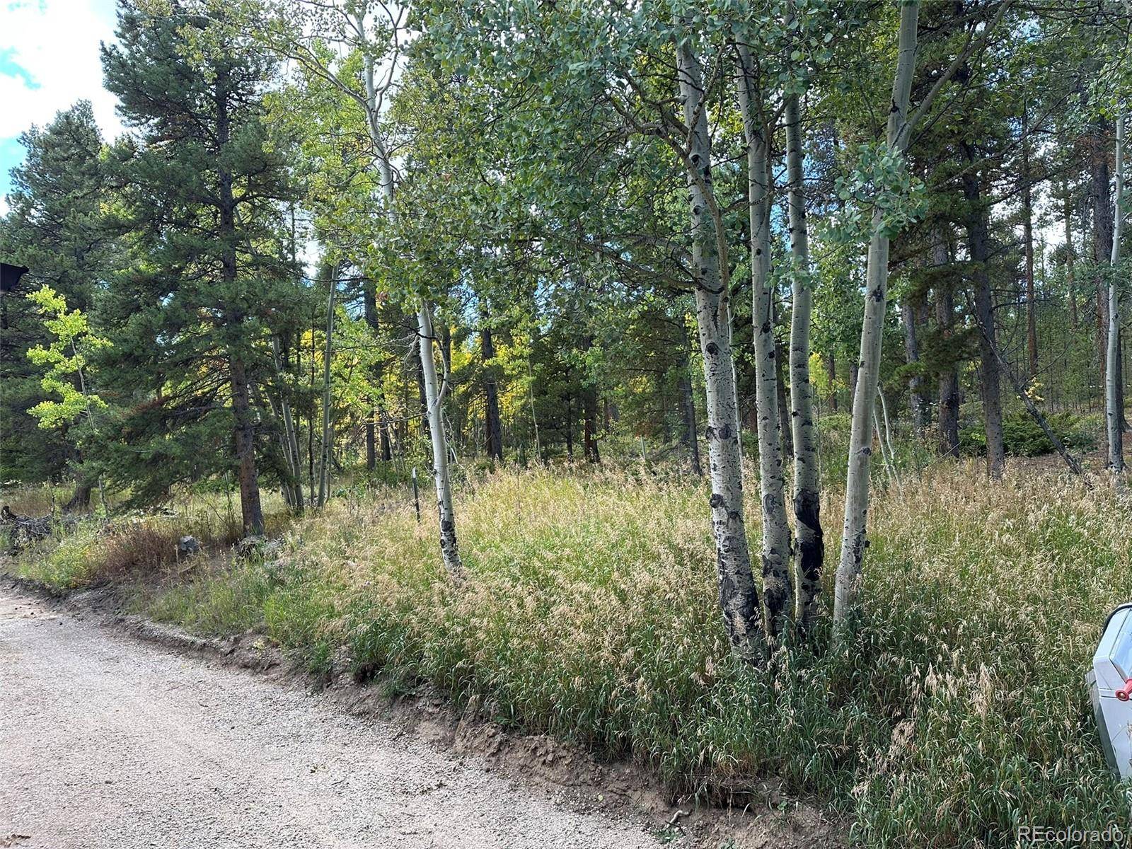 Central City, CO 80427,2774 Upper Apex RD