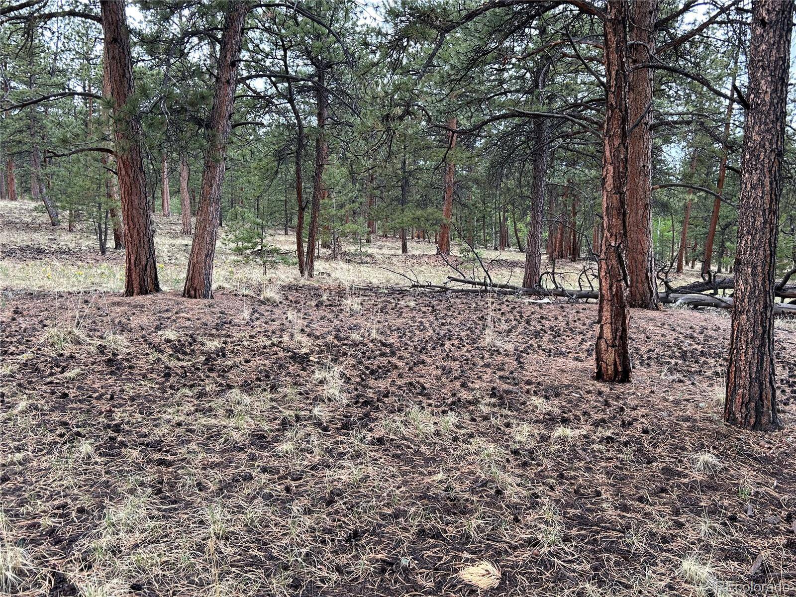 Hartsel, CO 80449,120 Harness WAY