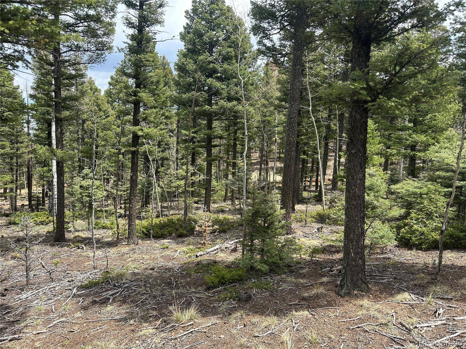 Manitou Springs, CO 80829,357 Big Horn