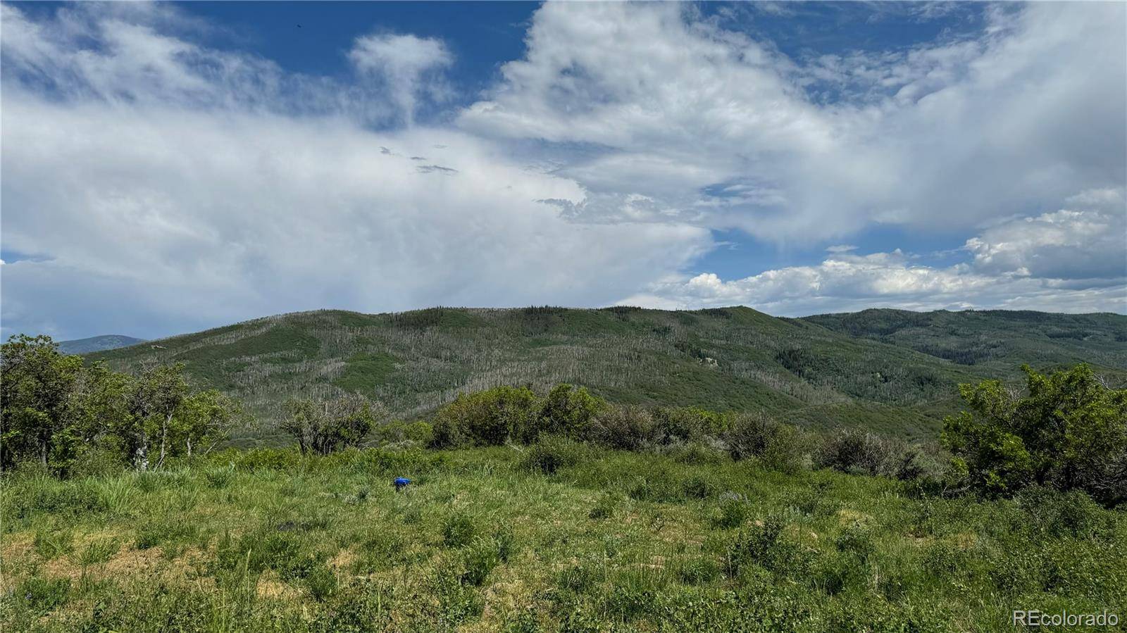 Oak Creek, CO 80467,29250 Cr-179