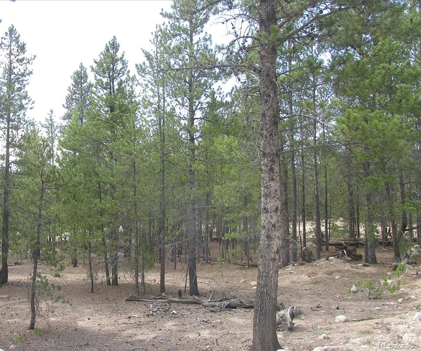 Leadville, CO 80461,218 Cedar DR