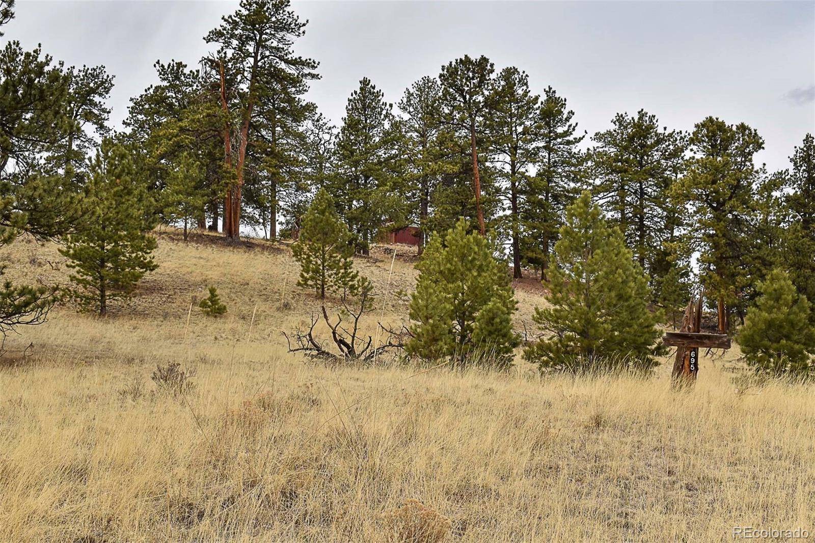 Guffey, CO 80820,695 Elk LN