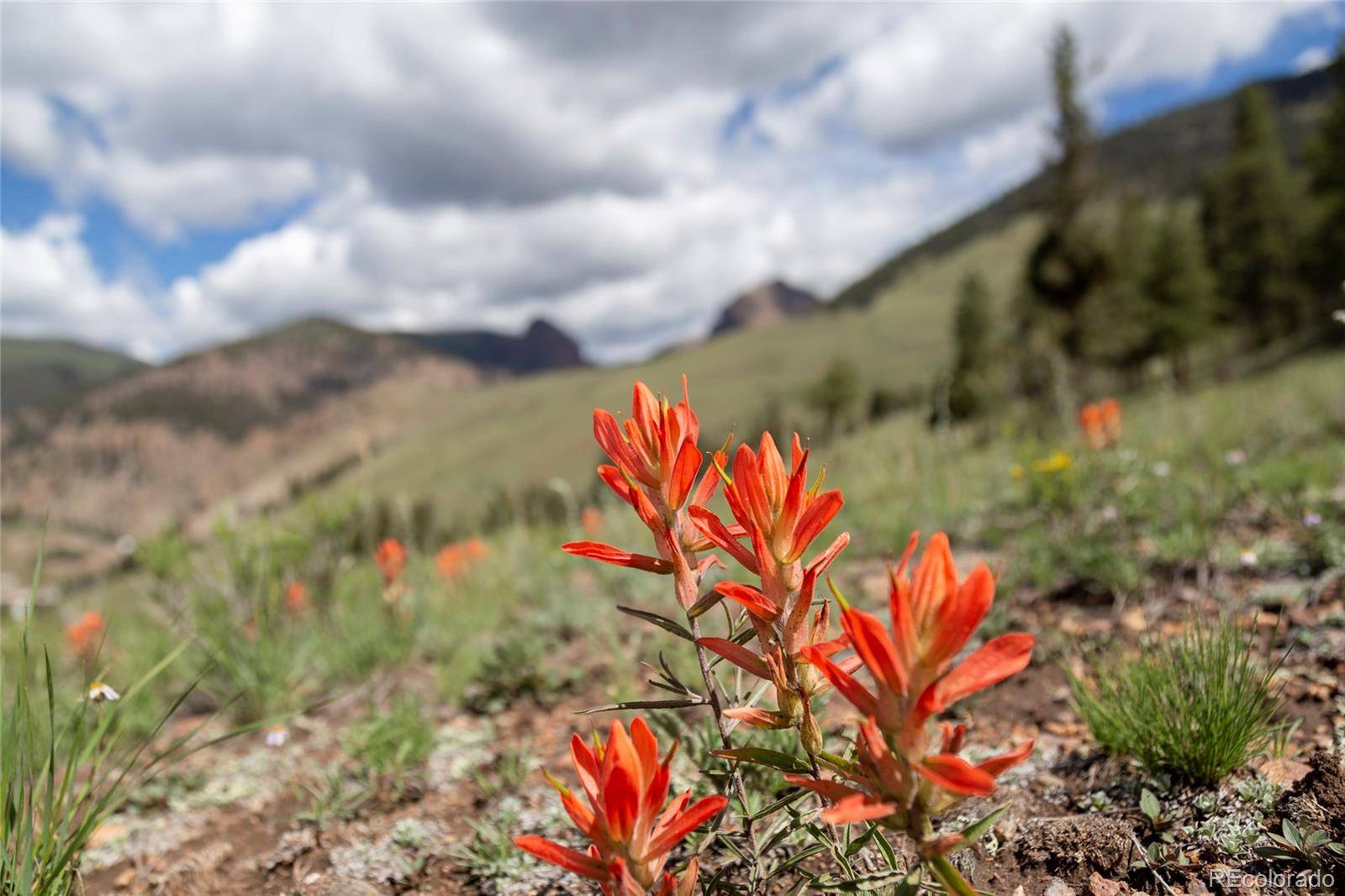 Creede, CO 81130,730 Cliff View DR