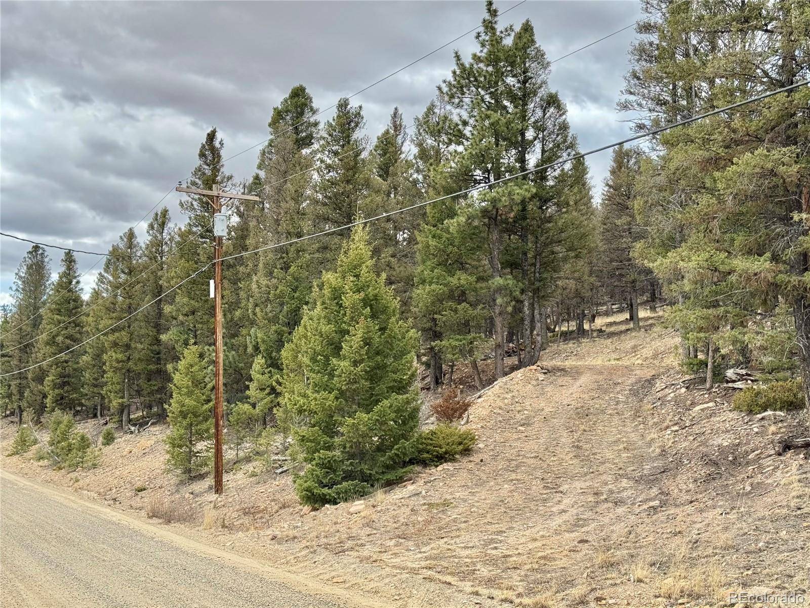 Fairplay, CO 80440,2403 Redhill RD