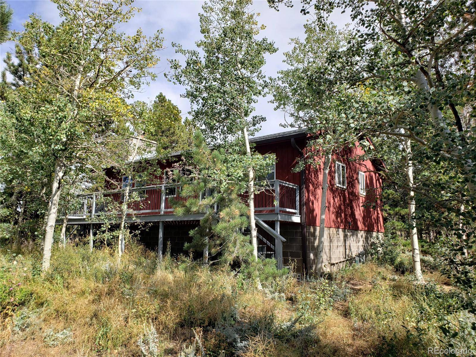 Nederland, CO 80466,3 Wildewood DR