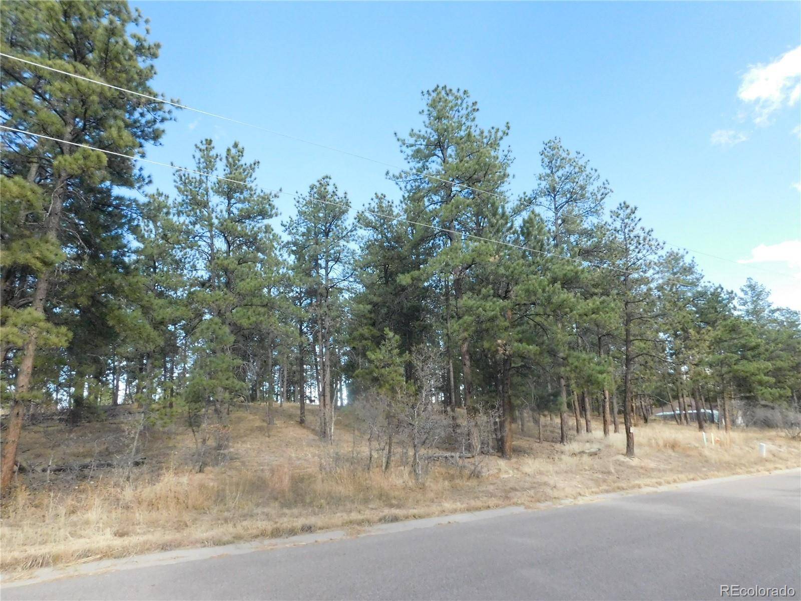 Larkspur, CO 80118,1345 Fremont DR