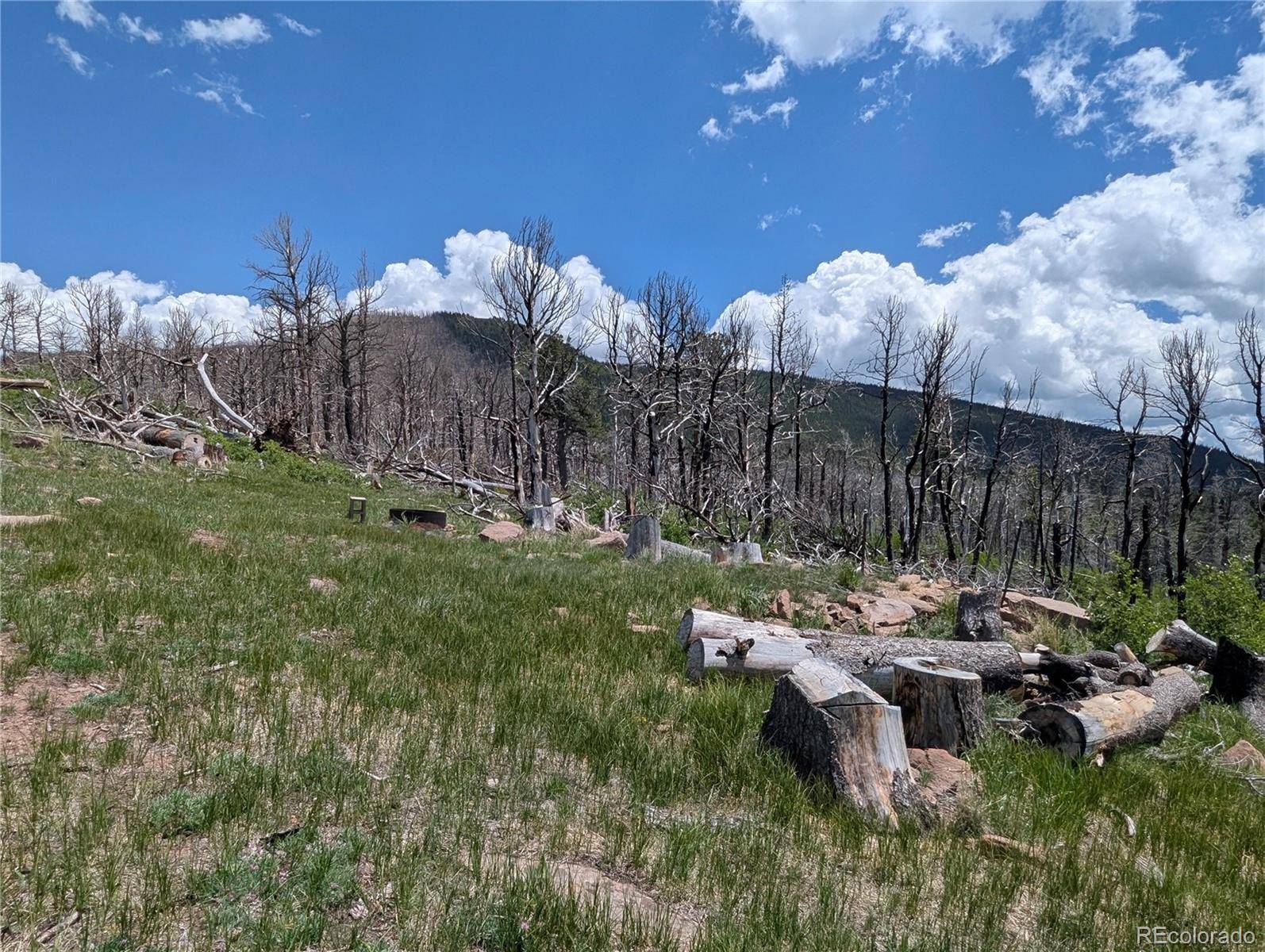 Fort Garland, CO 81133,3268 Grojean DR