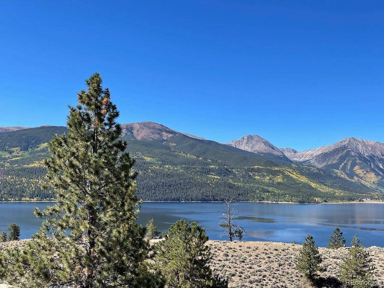 Twin Lakes, CO 81251,270 Rainbow DR