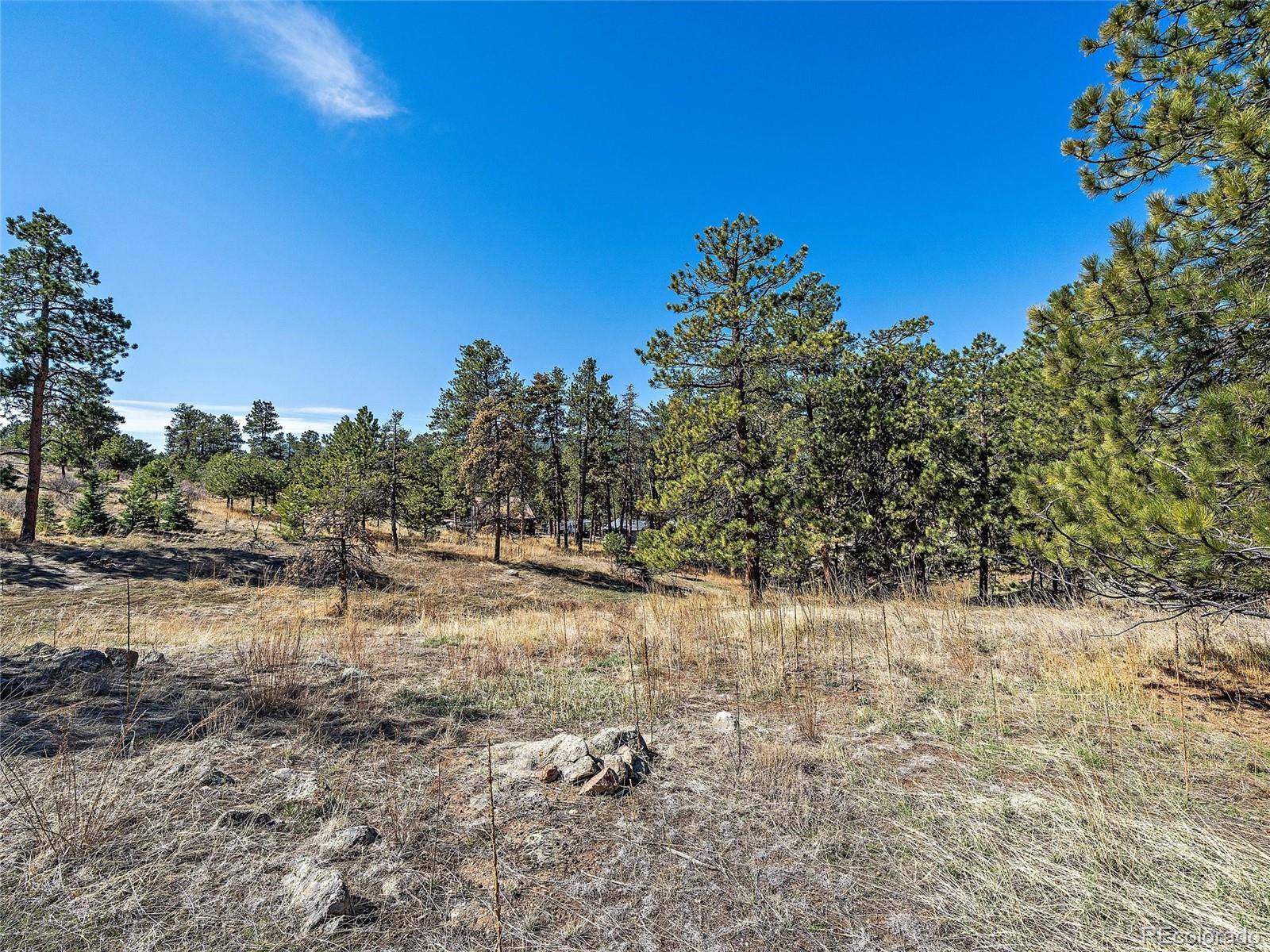 Indian Hills, CO 80454,000 Picutis RD