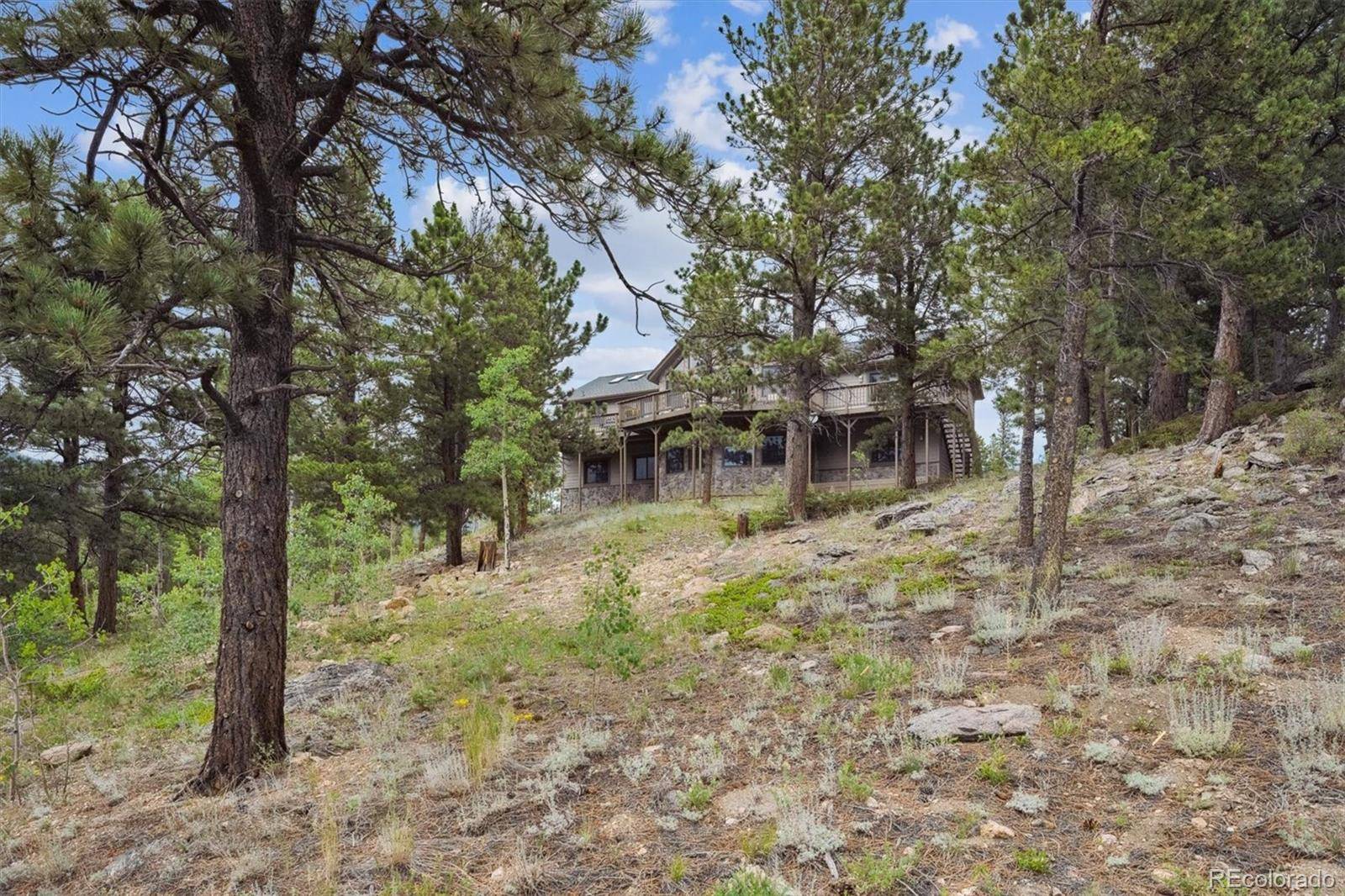 Black Hawk, CO 80422,35 Pickle PT