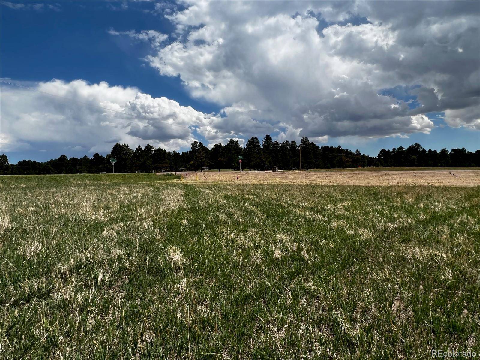 Colorado Springs, CO 80908,11970 Woodridge TER