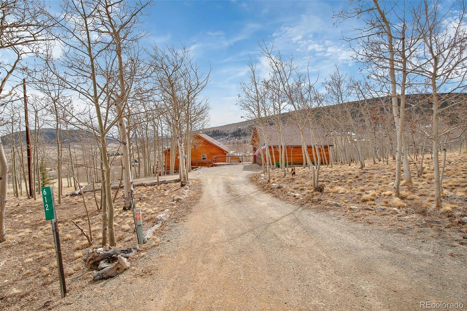 Fairplay, CO 80440,612 Sheep Ridge RD