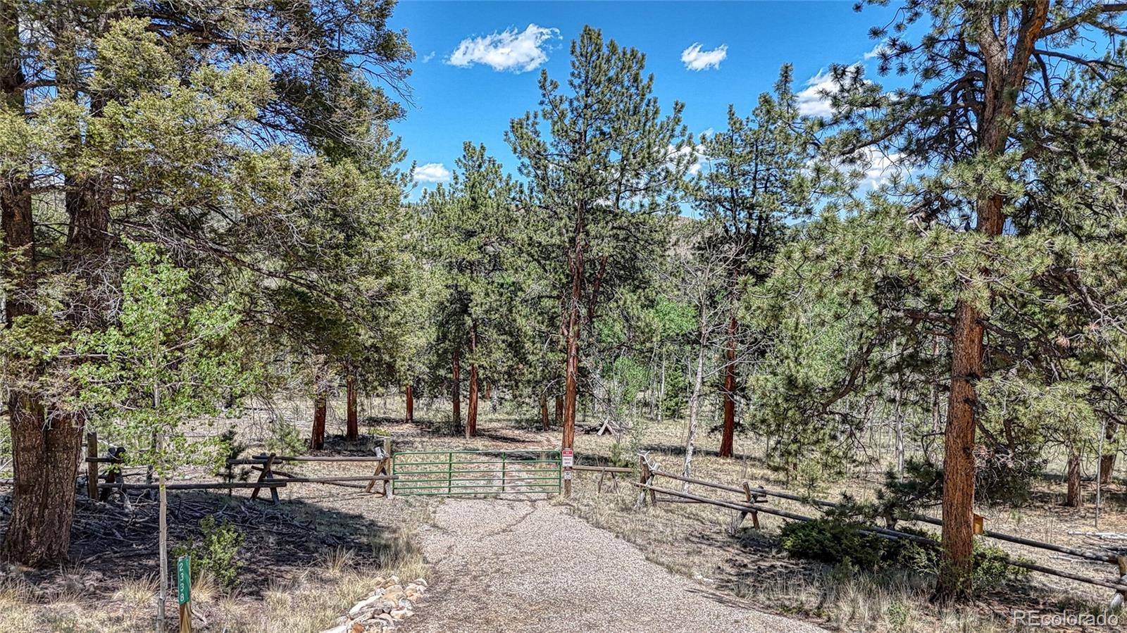 Hartsel, CO 80449,2338 Fitzsimmons RD