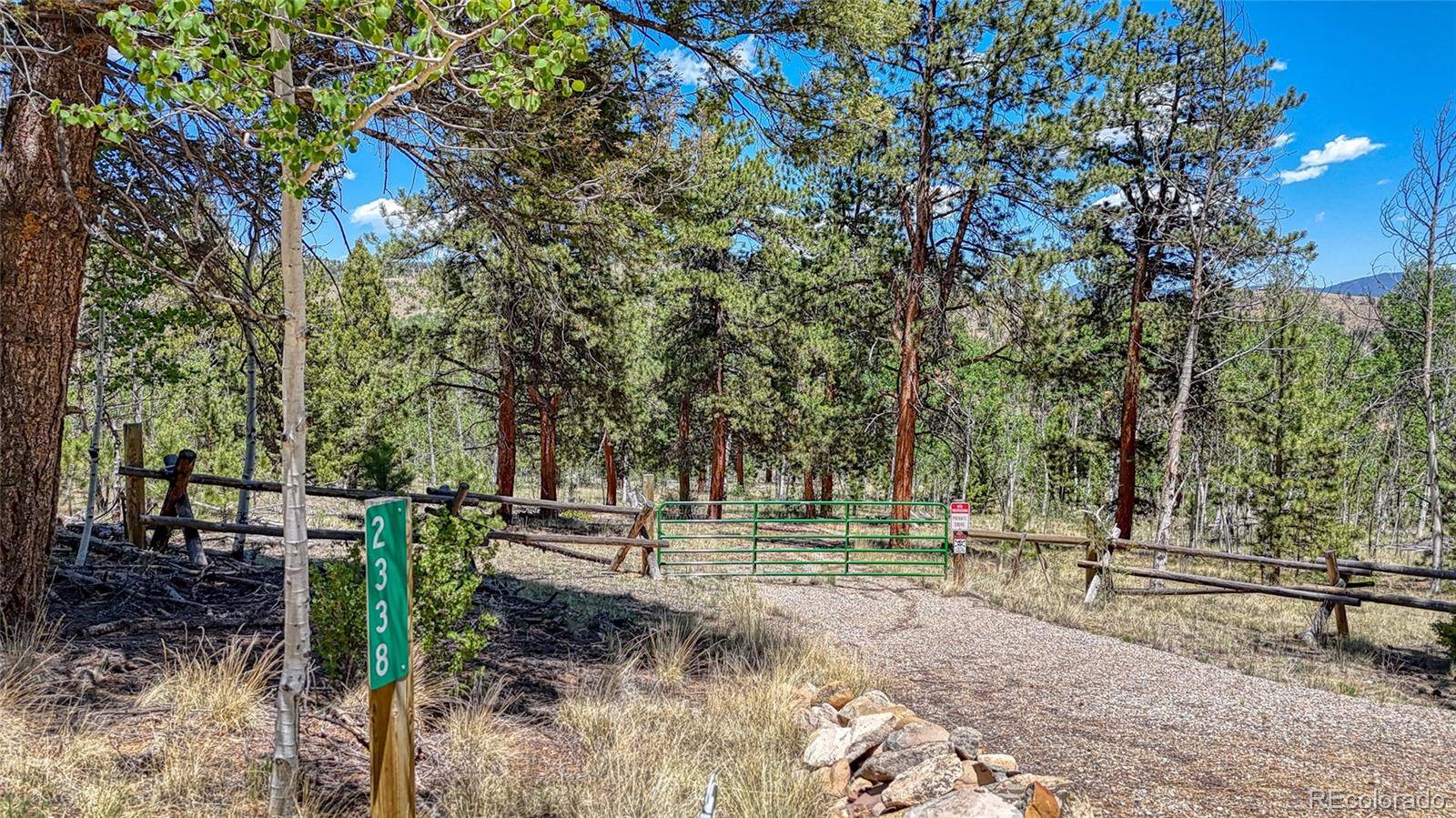Hartsel, CO 80449,2338 Fitzsimmons RD