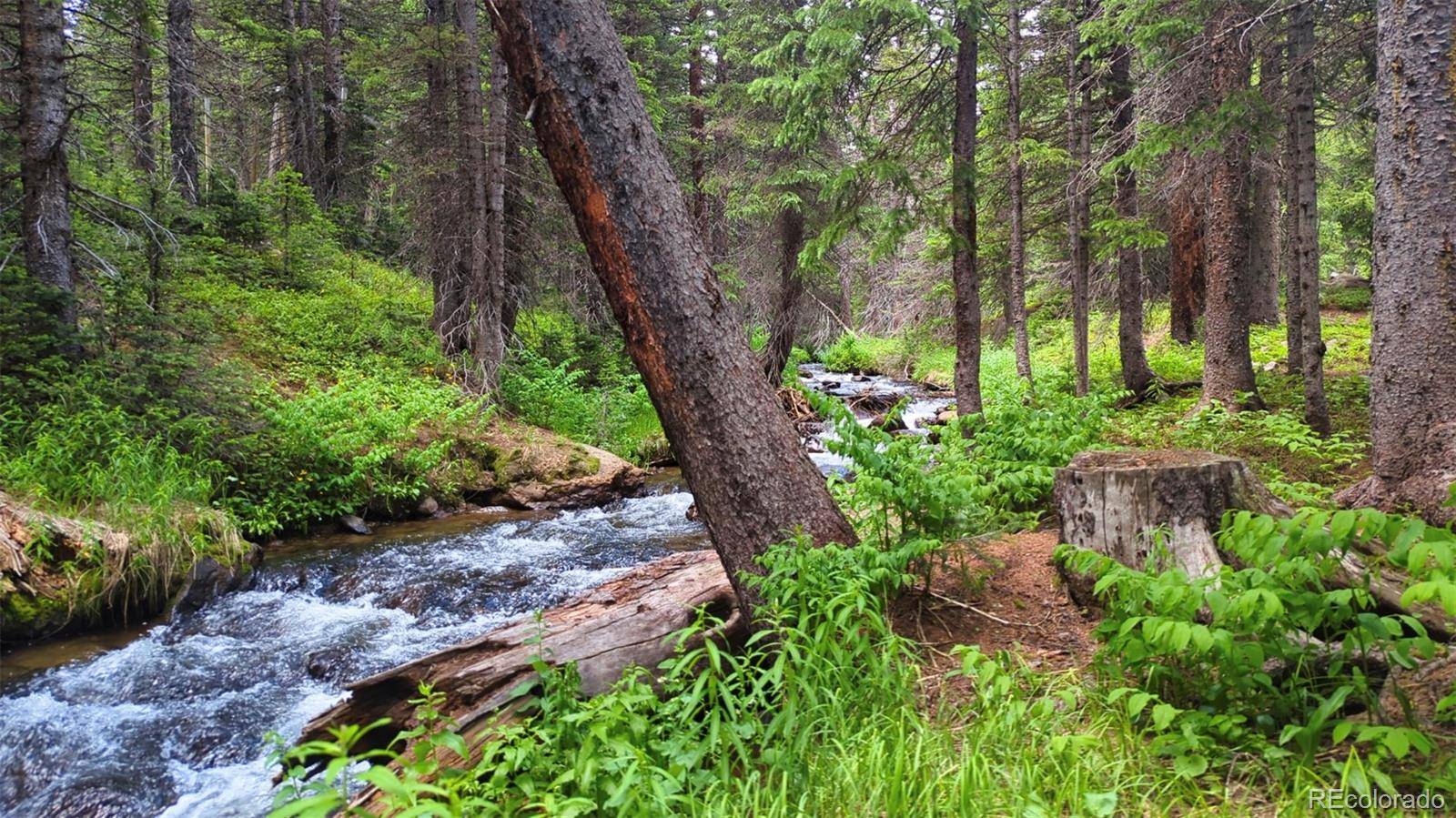 Idaho Springs, CO 80452,Rainbow Rd