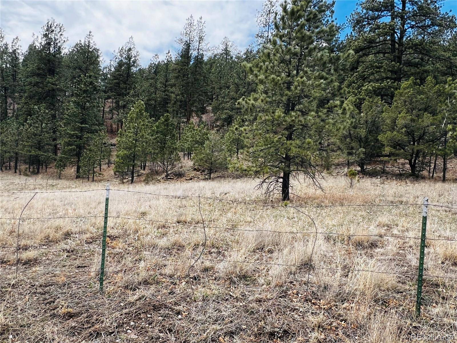 Weston, CO 81091,Lot 36 Logging Canyon RD